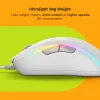 Glorious Gaming Glorious Model D 2 Wired - Ματ Λευκό, Δεξιόχειρας, Οπτικό, USB Type-A, 26000 DPI, Λευκό