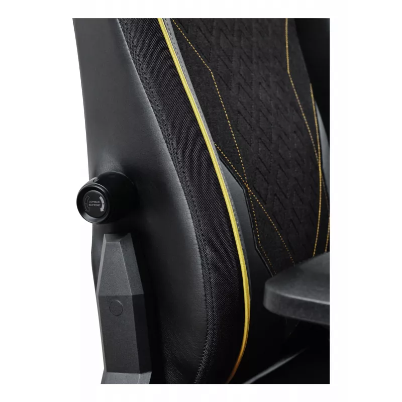Trust GXT 721 Ruya Pro Καθολική καρέκλα Gaming, μαύρο