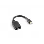 LANBERG Καλώδιο DisplayPort Mini DisplayPort - 0,12 m μαύρο