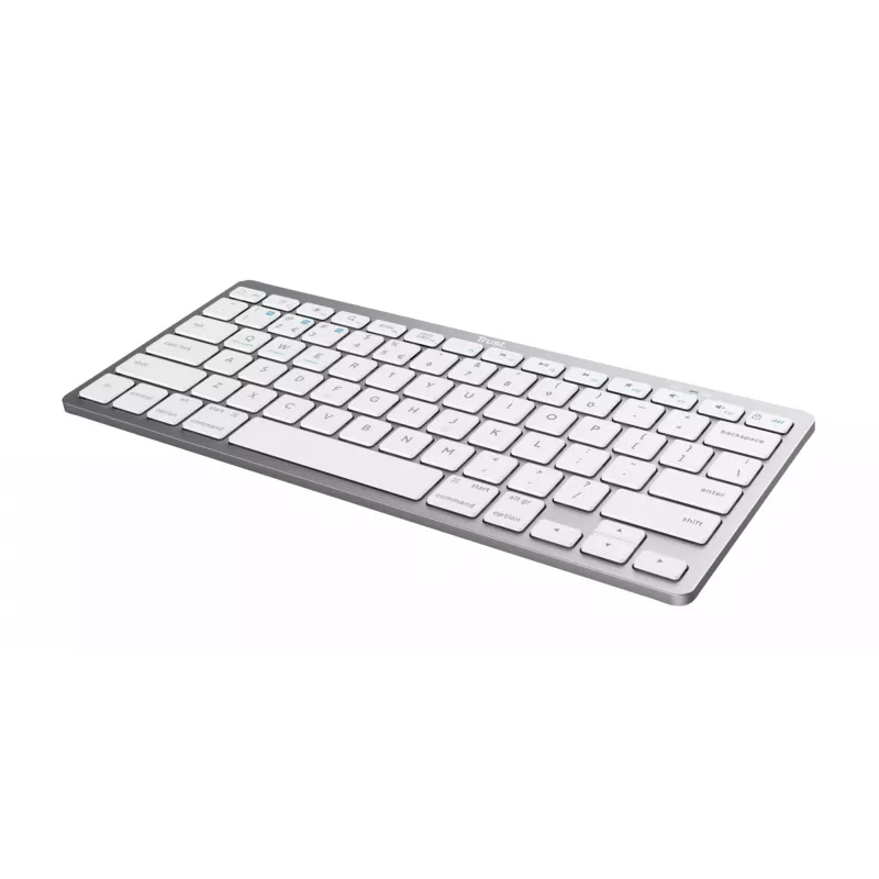 Trust 24651 Ασύρματο Πληκτρολόγιο QWERTY US English, Ασημί