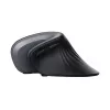 Trust Verro Ποντίκι Γραφείου Δεξιόχειρο RF Wireless Οπτικό 1600 DPI