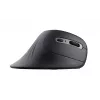 Trust Verro Ποντίκι Γραφείου Δεξιόχειρο RF Wireless Οπτικό 1600 DPI