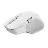 Trust Ozaa+ Ποντίκι Γραφείου για Δεξιόχειρες RF Wireless + Bluetooth 24935