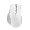 Trust Ozaa+ Ποντίκι Γραφείου για Δεξιόχειρες RF Wireless + Bluetooth 24935