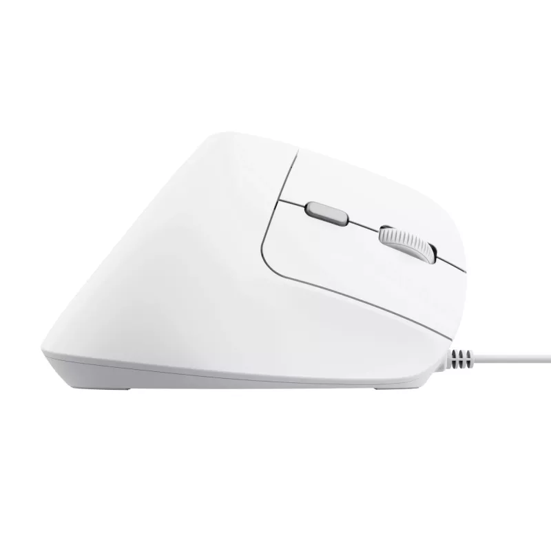 Trust Bayo II Ποντίκι Γραφείου για Δεξιόχειρες USB Type-A Οπτικό 2400 DPI