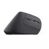 Trust Bayo+ Ποντίκι Γραφείου για Δεξιόχειρες RF Wireless + Bluetooth Οπτικό 2400 DPI