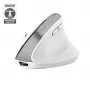 Trust Bayo+ Ποντίκι Γραφείου Δεξιόχειρας RF Wireless + Bluetooth Οπτικό 2400 DPI