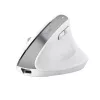 Trust Bayo+ Ποντίκι Γραφείου Δεξιόχειρας RF Wireless + Bluetooth Οπτικό 2400 DPI