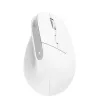 Trust Bayo+ Ποντίκι Γραφείου Δεξιόχειρας RF Wireless + Bluetooth Οπτικό 2400 DPI