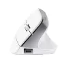 Trust Bayo+ Ποντίκι Γραφείου Δεξιόχειρας RF Wireless + Bluetooth Οπτικό 2400 DPI