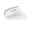Trust Bayo+ Ποντίκι Γραφείου Δεξιόχειρας RF Wireless + Bluetooth Οπτικό 2400 DPI