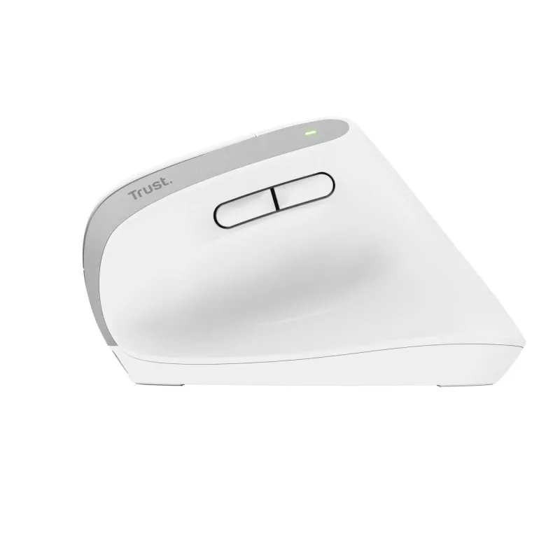 Trust Bayo+ Ποντίκι Γραφείου Δεξιόχειρας RF Wireless + Bluetooth Οπτικό 2400 DPI