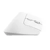 Trust Bayo+ Ποντίκι Γραφείου Δεξιόχειρας RF Wireless + Bluetooth Οπτικό 2400 DPI