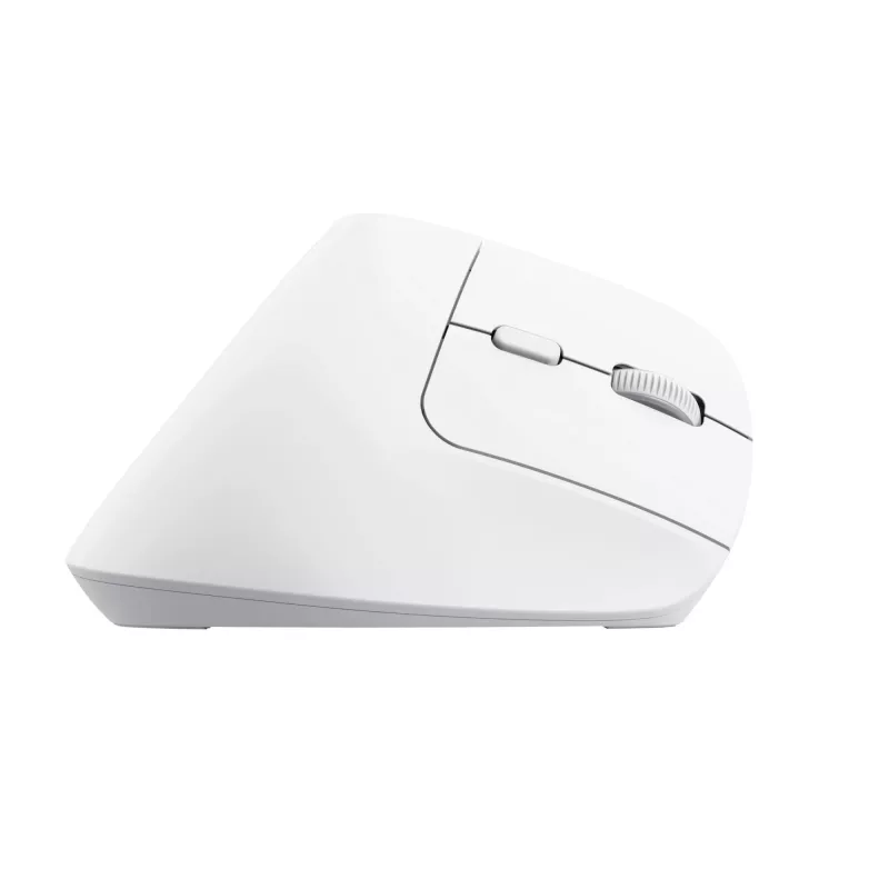Trust Bayo+ Ποντίκι Γραφείου Δεξιόχειρας RF Wireless + Bluetooth Οπτικό 2400 DPI