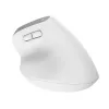 Trust Bayo+ Ποντίκι Γραφείου Δεξιόχειρας RF Wireless + Bluetooth Οπτικό 2400 DPI