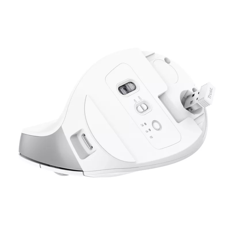Trust Bayo+ Ποντίκι Γραφείου Δεξιόχειρας RF Wireless + Bluetooth Οπτικό 2400 DPI