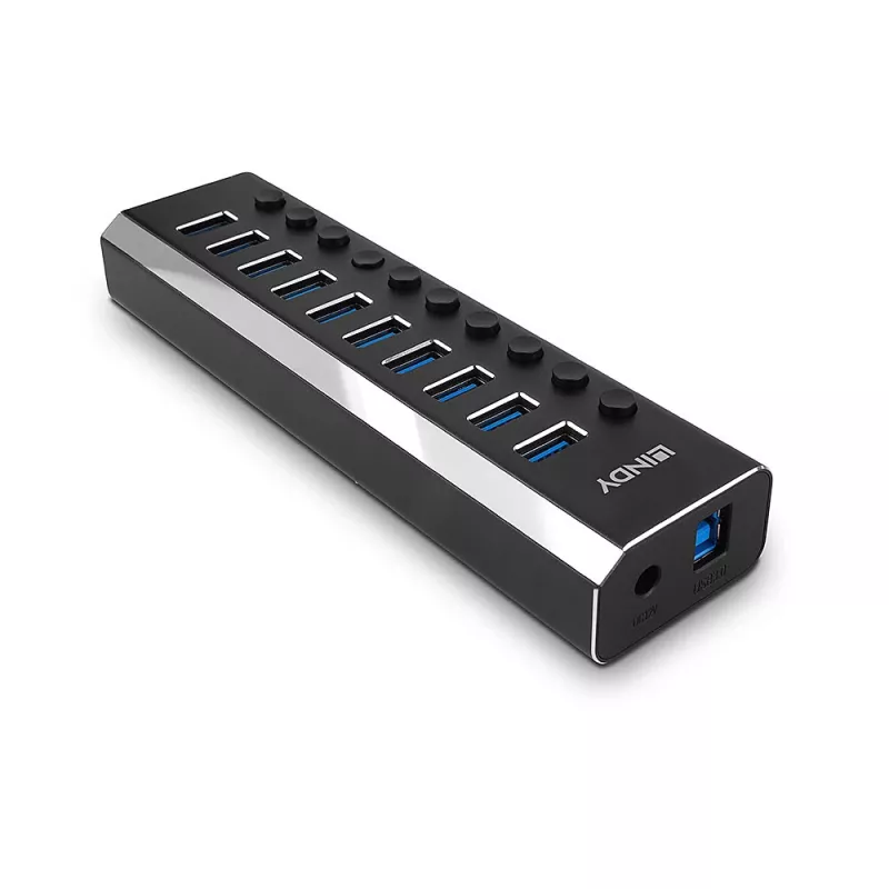 Lindy 10 Port USB 3.0 Hub με διακόπτες on/off