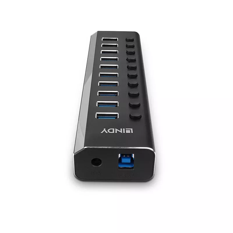 Lindy 10 Port USB 3.0 Hub με διακόπτες on/off