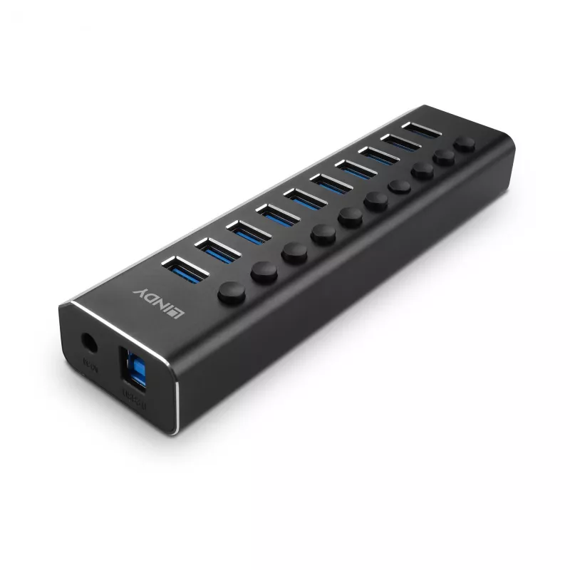 Lindy 10 Port USB 3.0 Hub με διακόπτες on/off