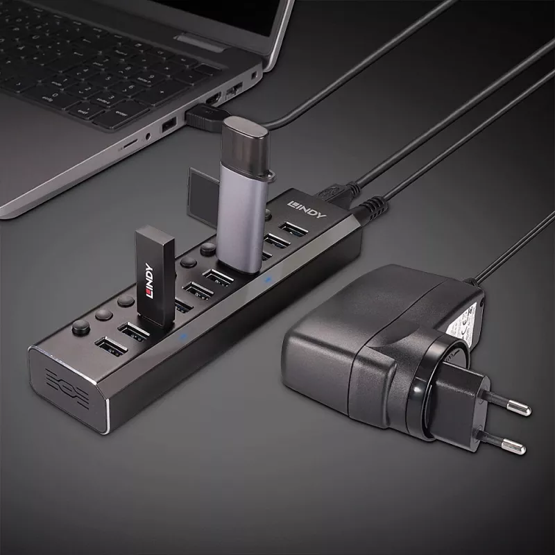 Lindy 10 Port USB 3.0 Hub με διακόπτες on/off