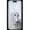 Smartphone Apple iPhone 17 Pro 6,3 ίντσες 256GB ασημί
