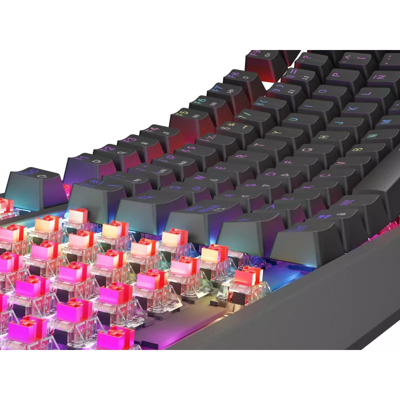 GENESIS Thor 230 TKL Πληκτρολόγιο Gaming USB QWERTY Ισπανικό Μαύρο