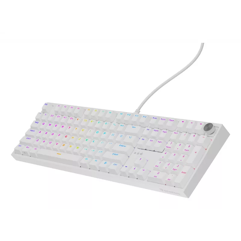 GENESIS NKG-2300 Πληκτρολόγιο Universal USB QWERTY Αγγλικό Λευκό