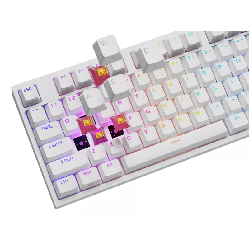 GENESIS NKG-2300 Πληκτρολόγιο Universal USB QWERTY Αγγλικό Λευκό