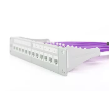 DIGITUS Καλώδιο εγκατάστασης - CAT6 - U/UTP - B2ca - 100 m - Μωβ