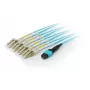 Equip MTP/MTP Trunk Καλώδιο Patch Οπτικών Ινών, OM4, 15 m
