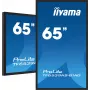 Επίπεδη οθόνη Digital Signage iiyama TF6539AS-B1AG 64,5 ίντσες οθόνη αφής LED 3840 x 2160