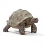 Φιγούρα, Schleich, WILD LIFE Γιγαντιαία χελώνα