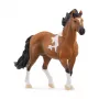 schleich HORSE CLUB Mangalarga Marchador επιβήτορας, 5 ετών, άλογα, μαύρο, καφέ, λευκό, πλαστικό