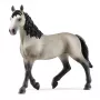 schleich HORSE CLUB Selle Français φοράδα, 5 ετών, άλογα, μαύρο, γκρι, πλαστικό