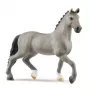 schleich HORSE CLUB Selle Français επιβήτορας, 5 ετών, άλογα, γκρι, πλαστικό