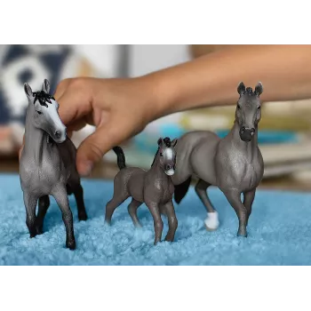 schleich HORSE CLUB Selle Français επιβήτορας, 5 ετών, άλογα, γκρι, πλαστικό