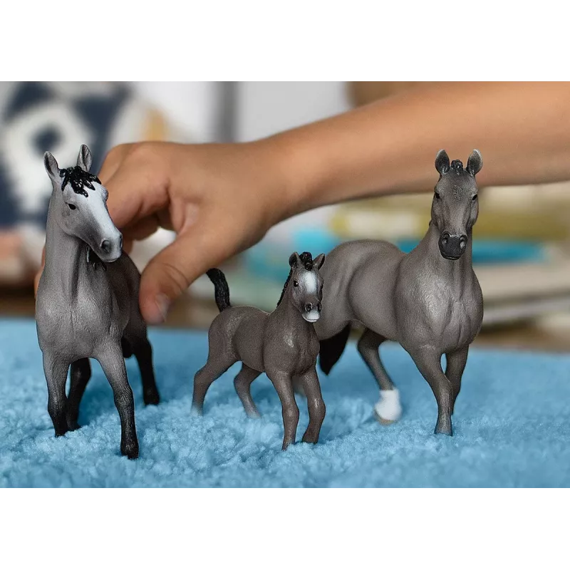 schleich HORSE CLUB Selle Français πουλάρι καφέ 13957
