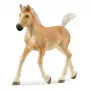 schleich HORSE CLUB Haflinger πουλάρι, 5 ετών, άλογα, μπεζ, καφέ, πλαστικό