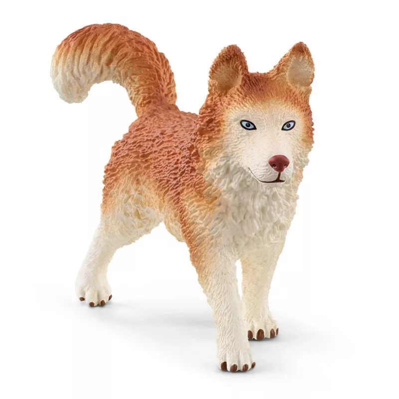 Zoo Schleich WILD LIFE αποστολή στην Ανταρκτική πολύχρωμο 42558