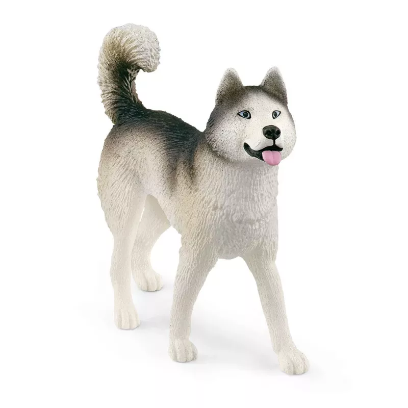 Zoo Schleich WILD LIFE αποστολή στην Ανταρκτική πολύχρωμο 42558