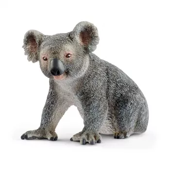 schleich WILD LIFE Koala, 3 ετών, ζούγκλα, άγρια ζώα/παιχνίδι περιπέτειας, πολύχρωμο, πλαστικό, 1 τεμάχιο