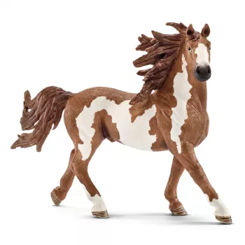 schleich FARM WORLD επιβήτορας Pinto, 3 ετών, ζώα αγροκτήματος / παιχνίδι αγροκτήματος, άλογα, πολύχρωμο, πλαστικό, 1 τεμάχιο