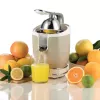 Ηλεκτρική στίφτης εσπεριδοειδών Ariete 0413/03 0,6L 85W Μπεζ