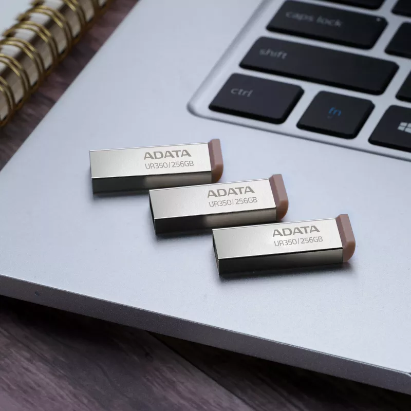 ADATA UR350 USB stick 256 GB USB Type-A 3.2 Gen 1 (3.1 Gen 1) μαύρο, ασημί