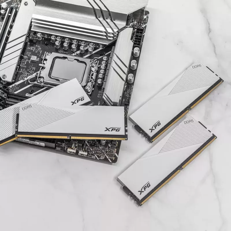 DIMM 16 GB DDR5-6000 , Μνήμη RAM λευκό, AX5U6000C3016G-CLAWH, Lancer, INTEL XMP