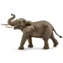 schleich WILD LIFE αφρικανικός ελέφαντας, αρσενικό, 3 έτος(-η), Safari, άγρια ζώα / παιχνίδι περιπέτειας, πολύχρωμο, πλαστικό, 1 τεμ.
