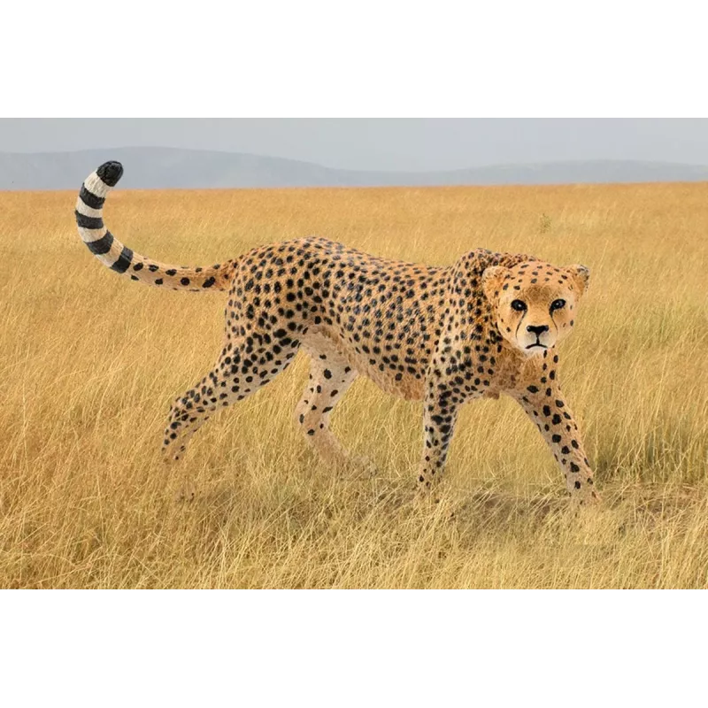 Φιγούρα Schleich WILD LIFE γατόπαρδος θηλυκό 14746