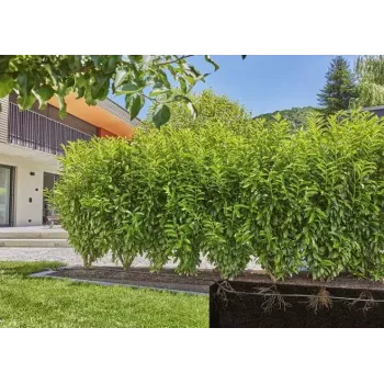 Σύστημα στάγδην άρδευσης Gardena 13500-20
