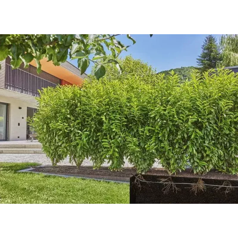 Σύστημα στάγδην άρδευσης Gardena 13500-20