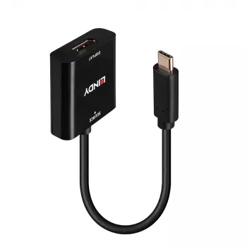 Lindy USB Type C σε DisplayPort 4K144 μετατροπέας, USB Type-C, έξοδος DisplayPort, 3840 x 2160 pixel